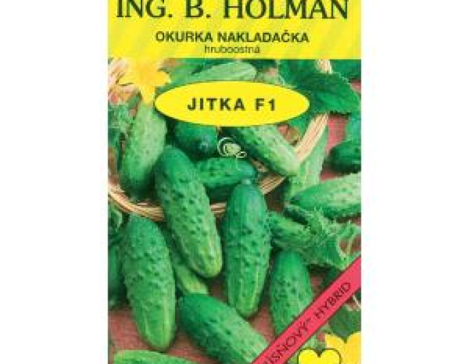 Holman Einlegegurke Jitka F1