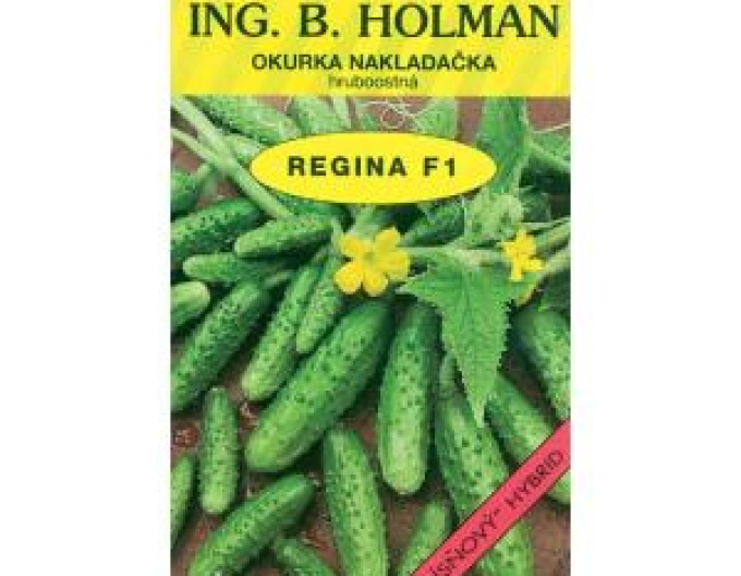 Holman Einlegegurke Regina F1