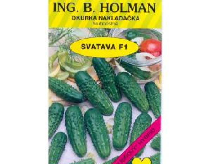 Holman Einlegegurke Svatava F1