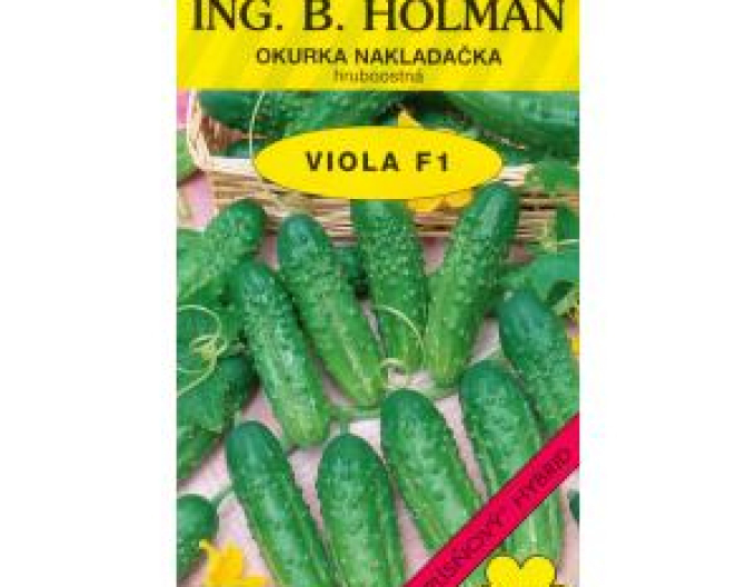 Holman Einlegegurke Viola F1