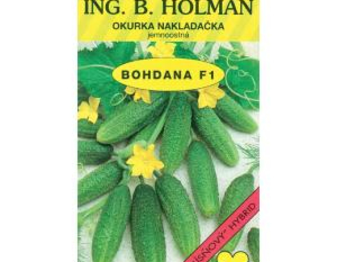 Holman Einlegegurke Bohdana F1