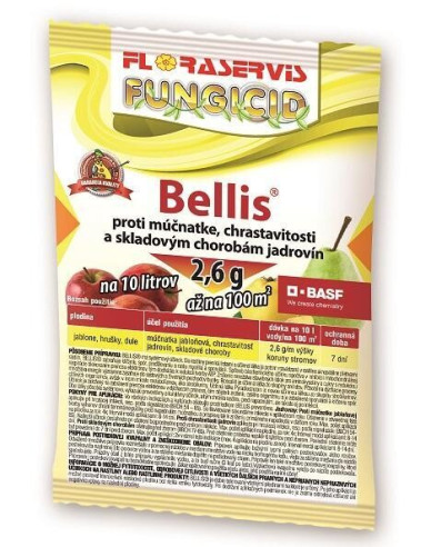 BELLIS 2,6g