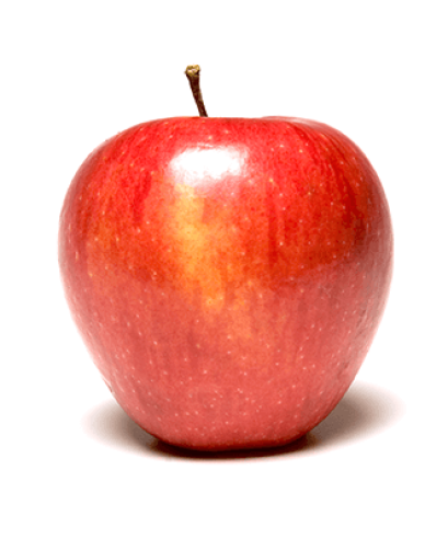 Apfelbaum Pinova auf MM106, wurzelnackt