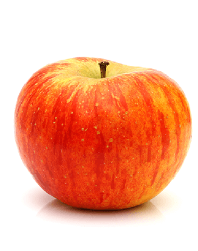 Winterapfelbaum Topaz, auf M9, wurzelnackt