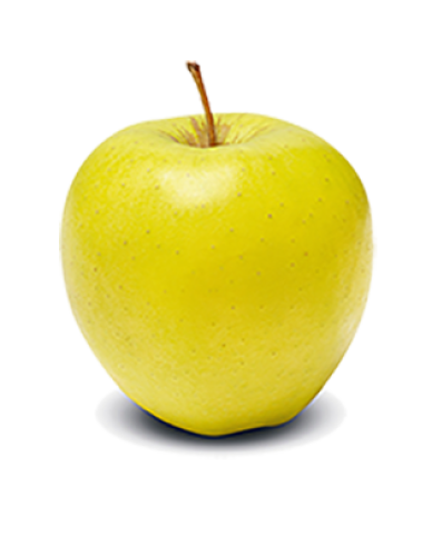 Apfelbaum Golden Delicious auf MM106, Cont. 5l