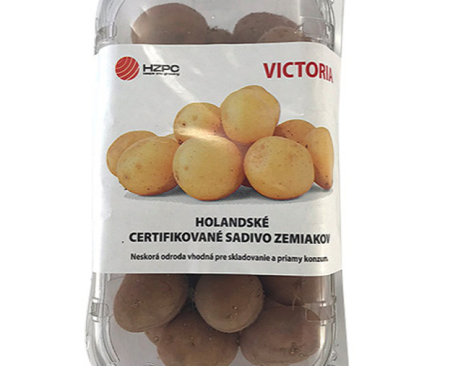 Pflanzkartoffeln Victoria Wanne cca 1kg