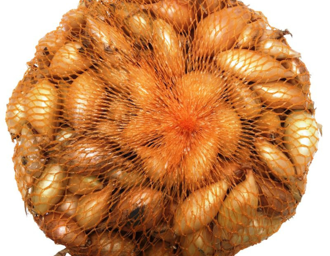 Steckzwiebel Senshyu  10/21 250g