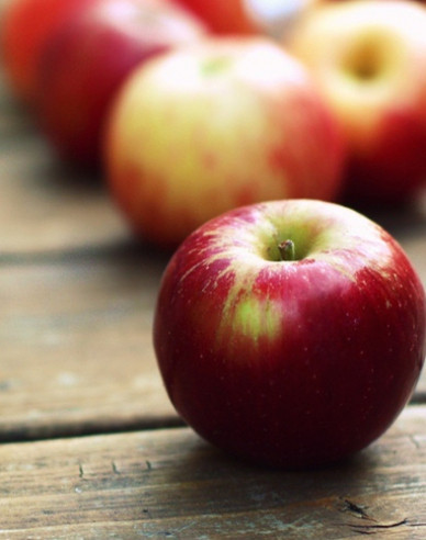 Apfelbaum Gala auf MM106, wurzelnackt