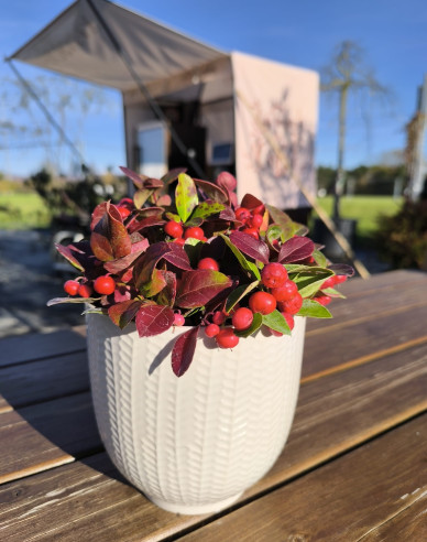 Keramischer Übertopf, weiß, glänzend