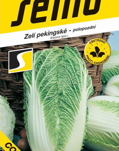 Semo Chinakohl Concord F1