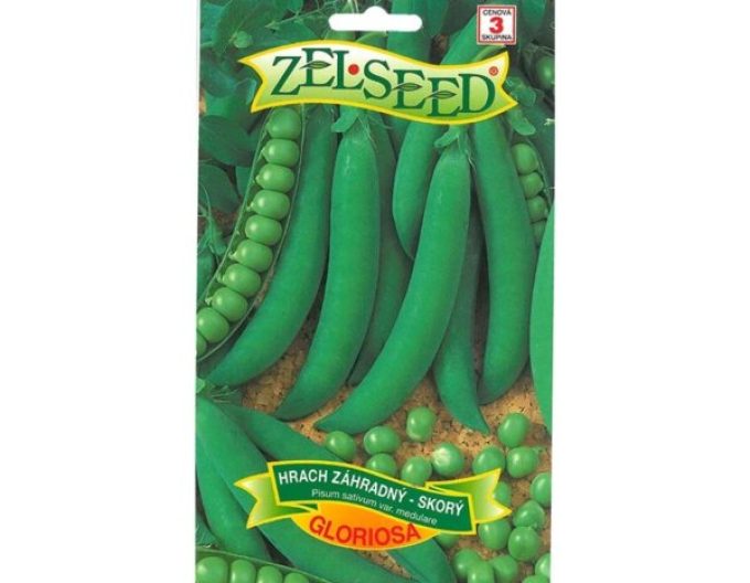 Zelssed Erbse Gloriosa