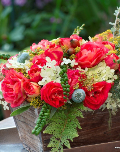 Rose Gebrüder Grimm