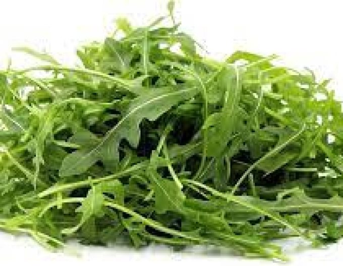 Rucola Grazia