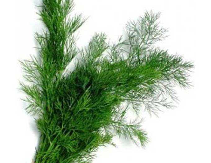 Dill duftend Ella