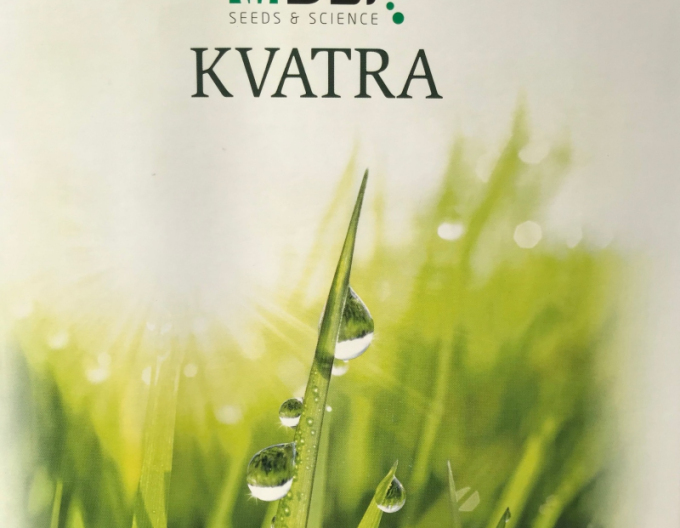 Kvatra Sport Grassamen 1kg