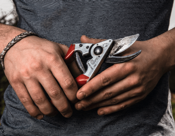 FELCO 8 Schere + FELCO 600 Säge