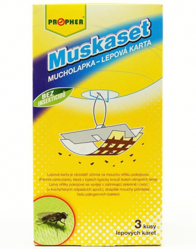 MUSKA SET FENSTERFLIEGENKLATSCHE 3 STÜCK
