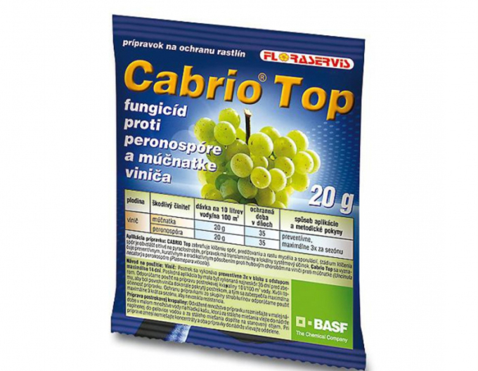 CABRIO TOP 20g