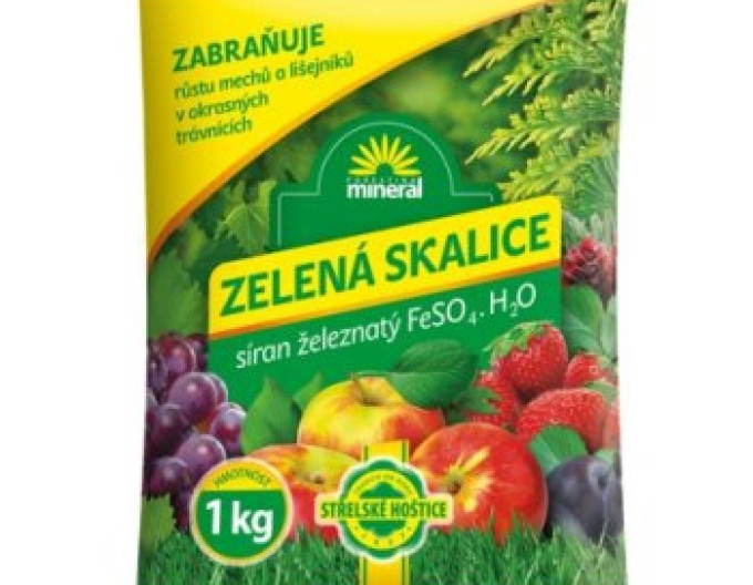 Forestina Grüne Zistrose 1kg